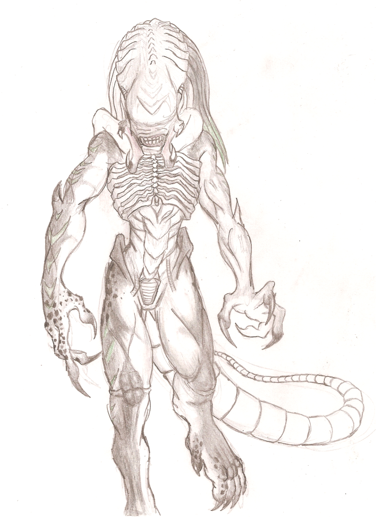 PredalienKyraSketch.png