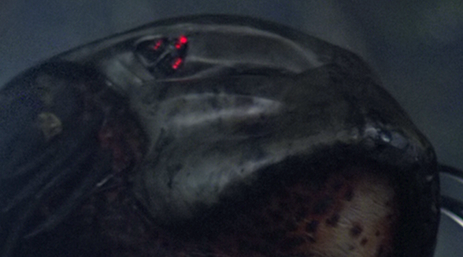 Predator-040.png