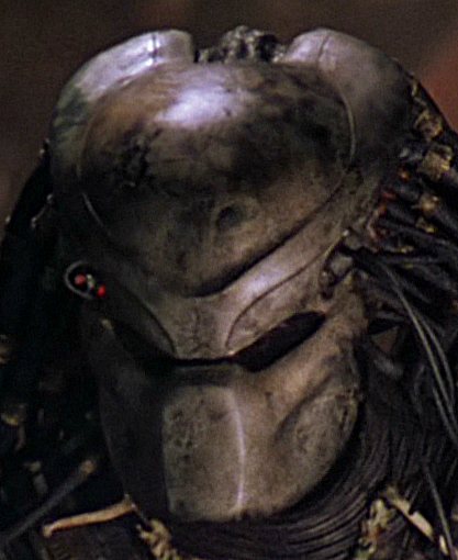 Predator-048.png