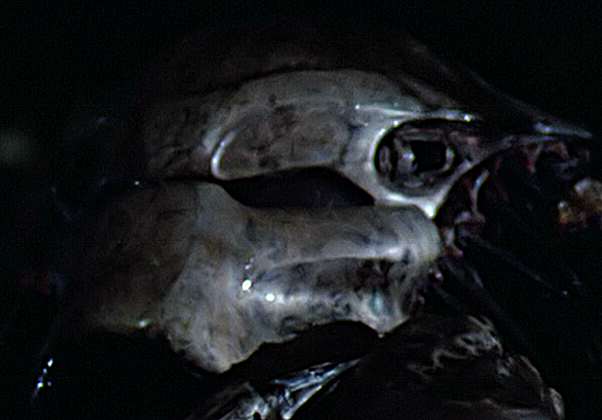 Predator-086.png