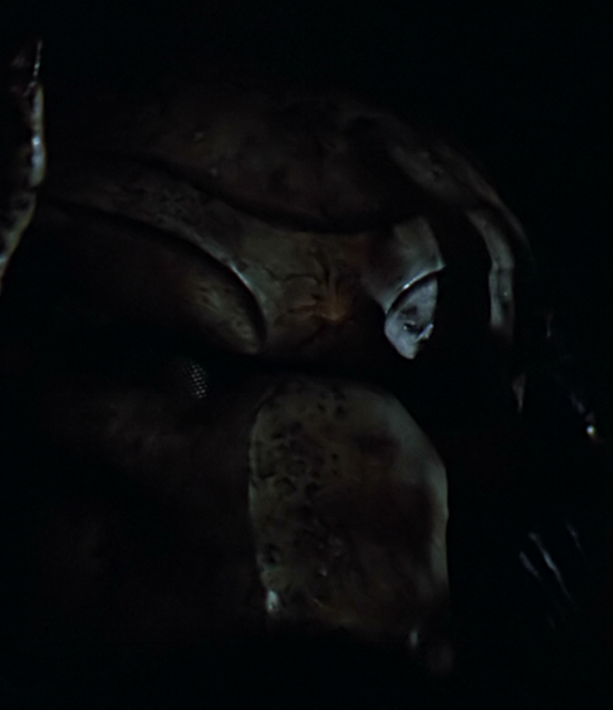 Predator-095.png