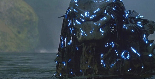 predator-1.jpg