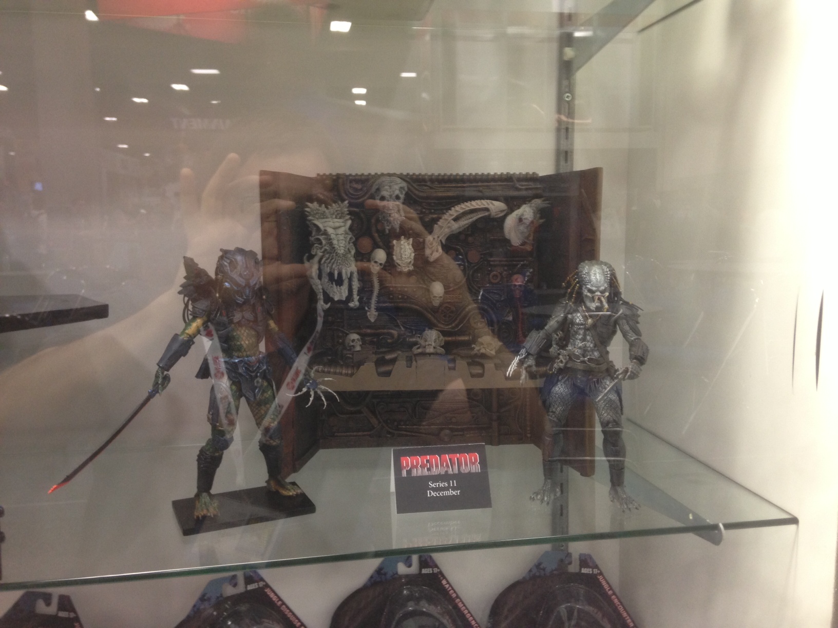 predator-19.jpg