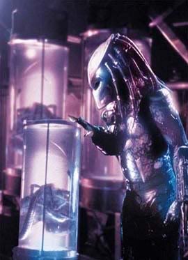 Predator-3.jpg