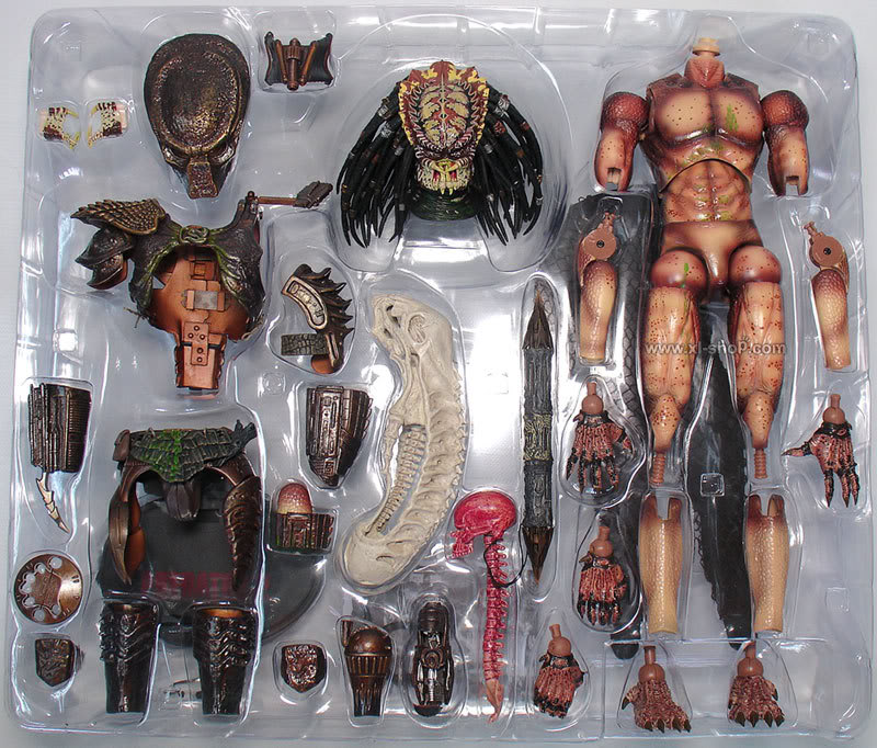 predator-damage-ver-4.jpg