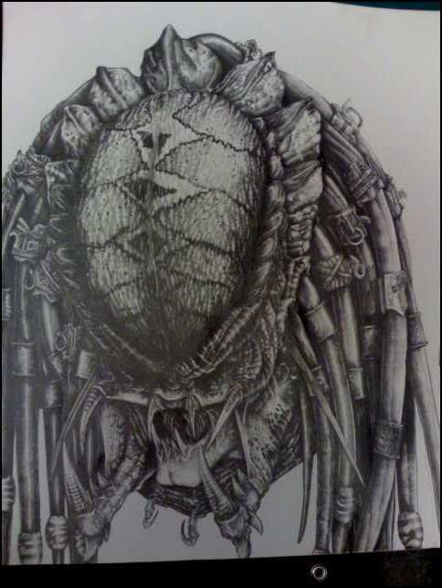Predator.jpg