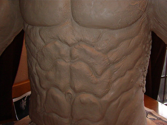 predator torso 013.jpg