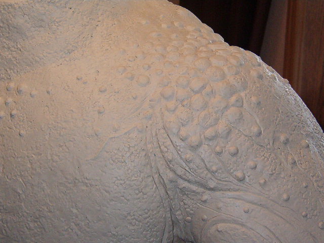 predator torso 016.jpg
