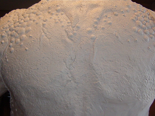 predator torso 023.jpg