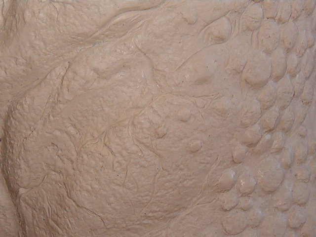 predator torso 028.jpg