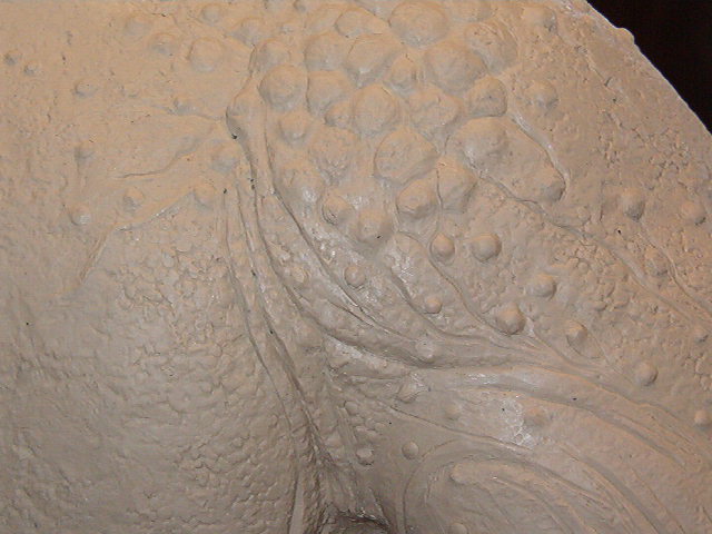predator torso 030.jpg