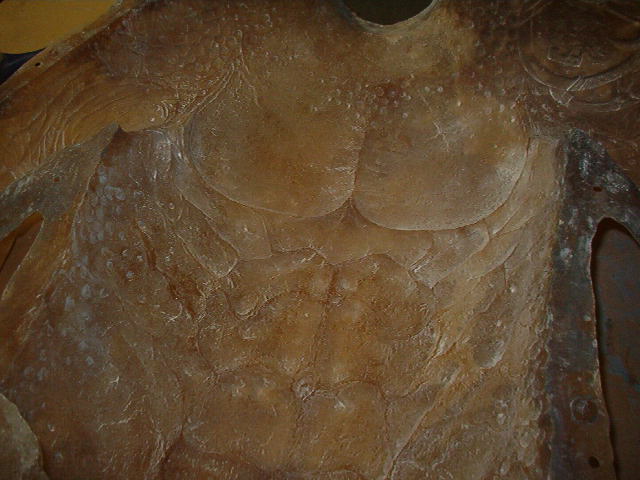 Predator torso in fiberglass 017.jpg