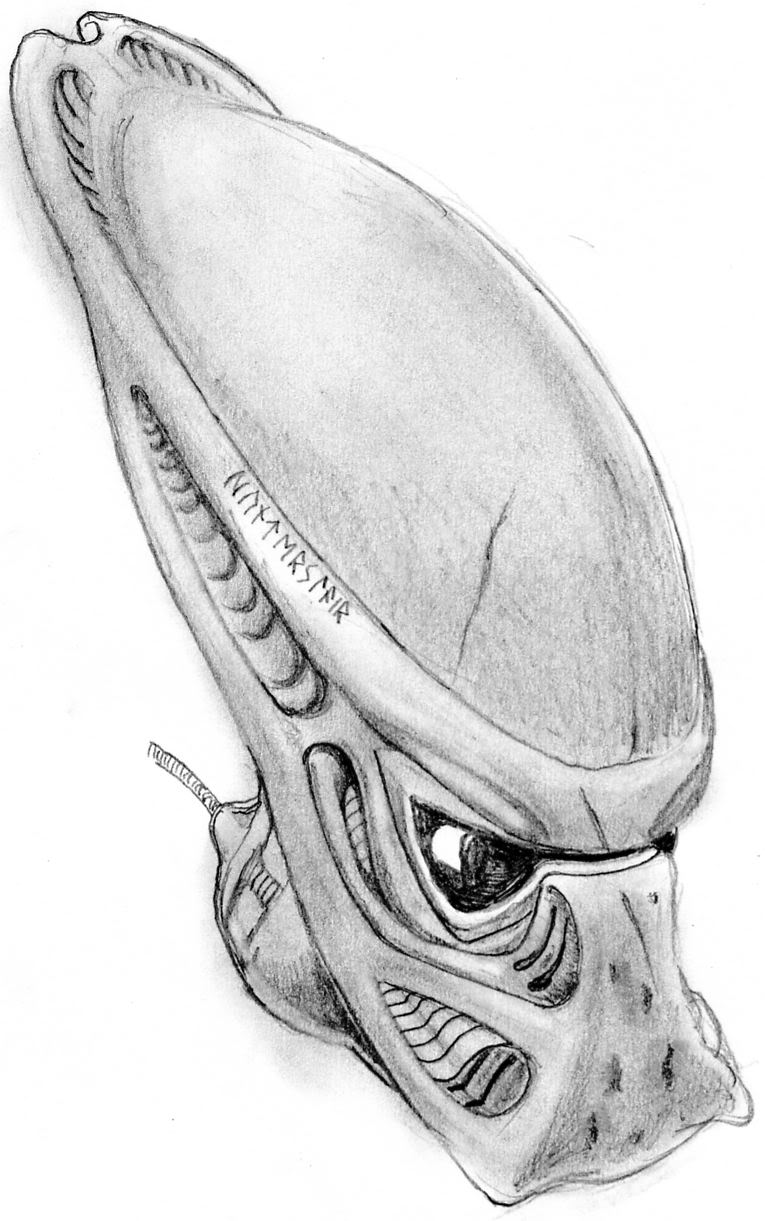 PREDATOR0004.jpg