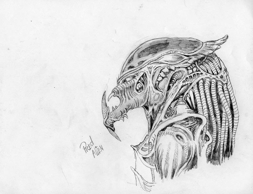 PREDATOR0007.jpg