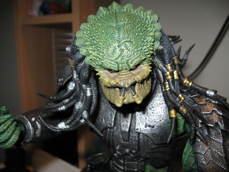 predator006.jpg