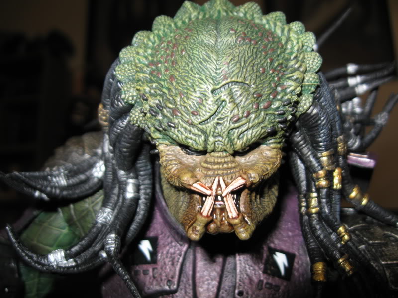 predator013.jpg