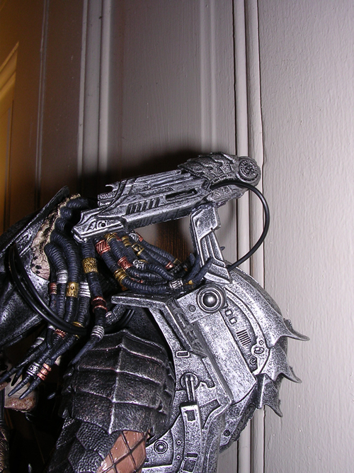 predator034ni6.jpg
