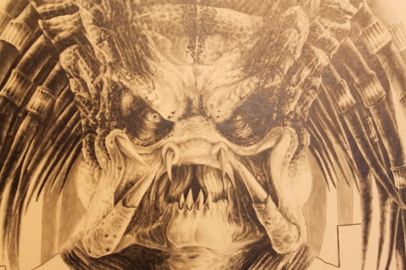 Predator1.jpg