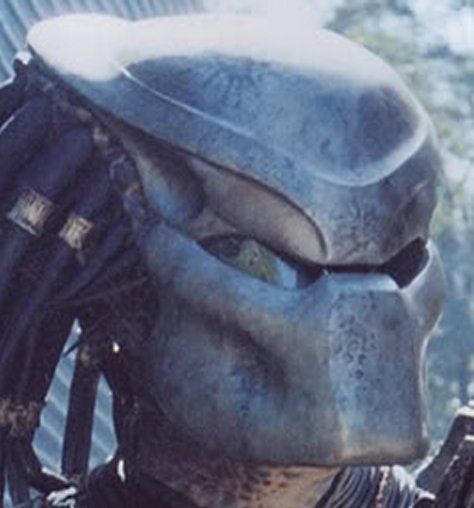 Predator26.jpg