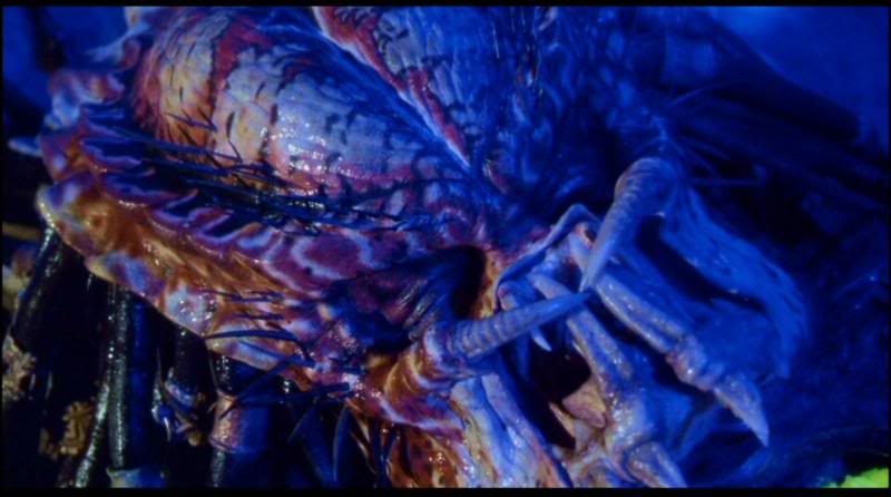Predator2_29.jpg