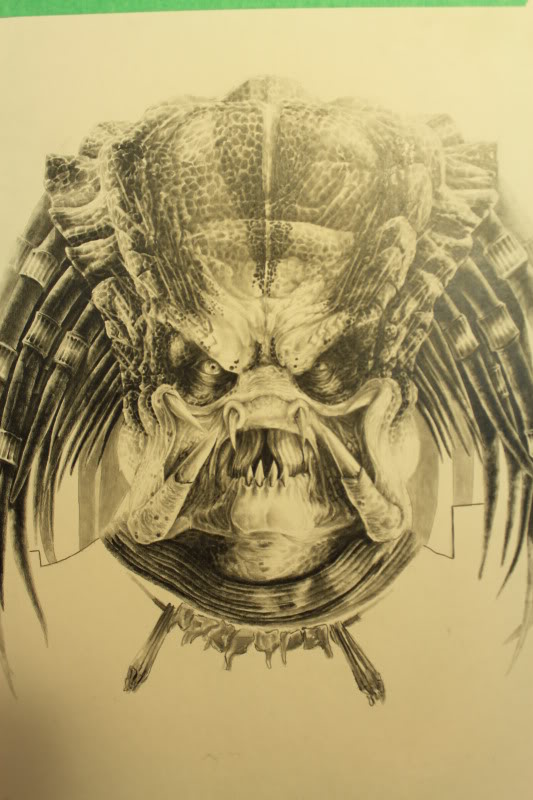 Predator6.jpg