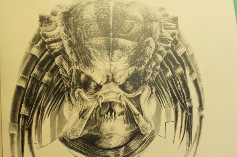 Predator7.jpg