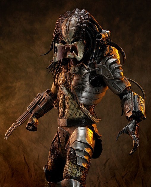 predator_1.jpg