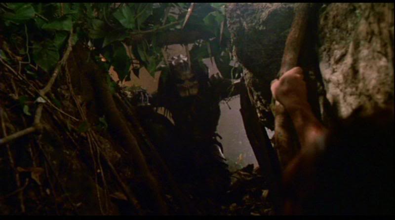 Predator_116.jpg