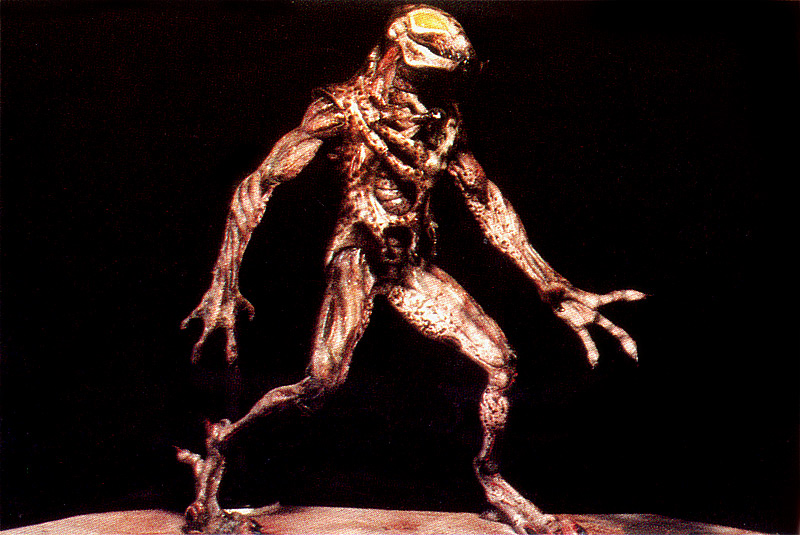 predator_2.jpg