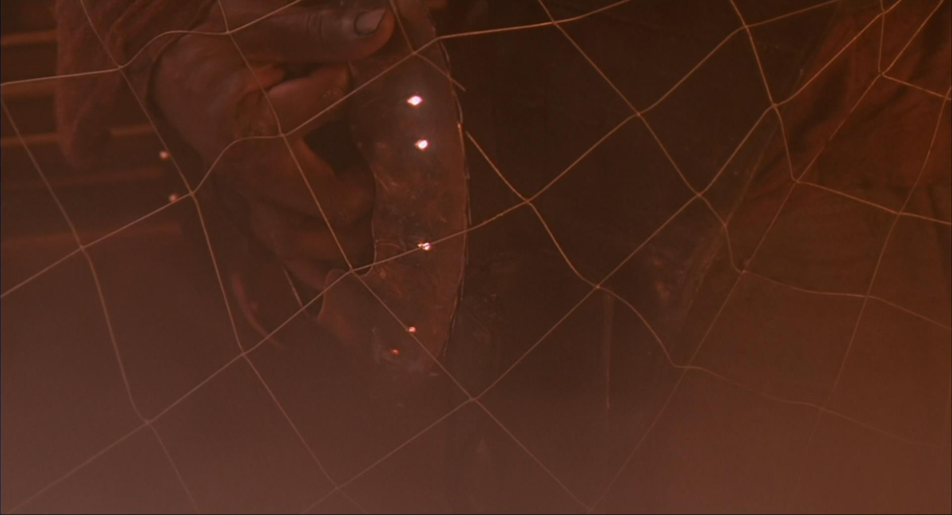 predator_2_disc_teeth_01.jpg