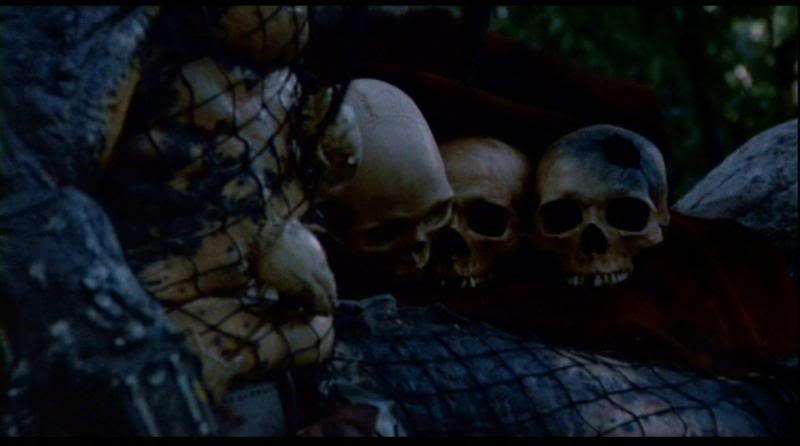 Predator_50.jpg