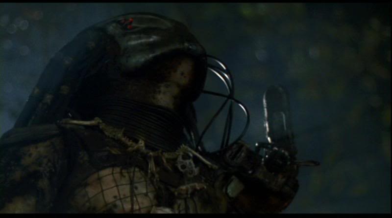Predator_56.jpg