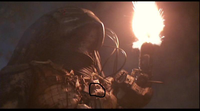Predator_57.jpg