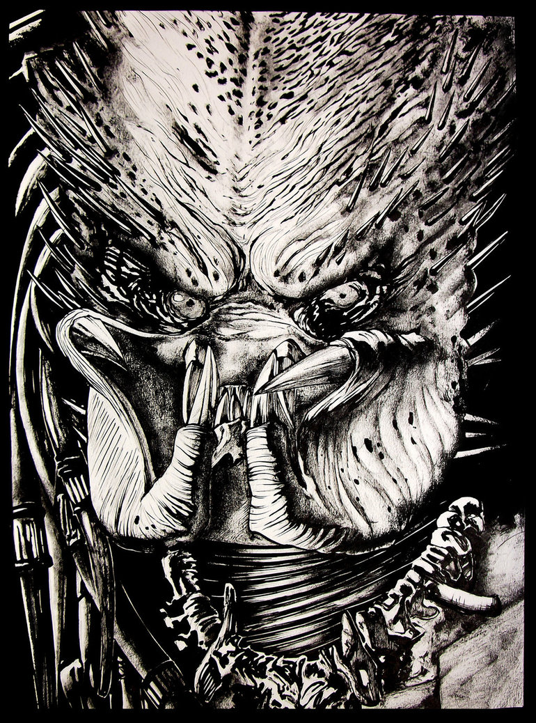 predator___by_ashasylum-d3ei49h.jpg