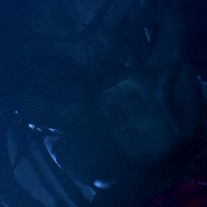 predator_bio_reference2.jpg