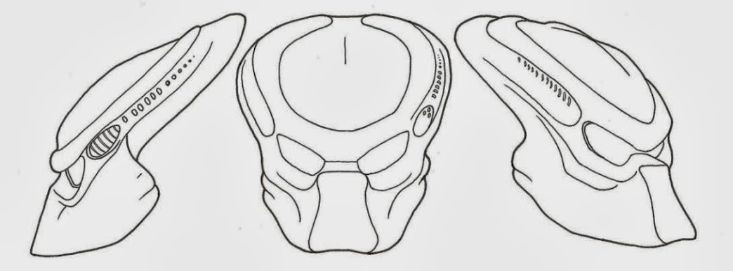 Predator_Bio_Template_P2_by_PredatrHuntr.jpg