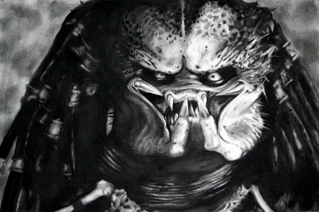 predator_by_lu_da_chris.jpg