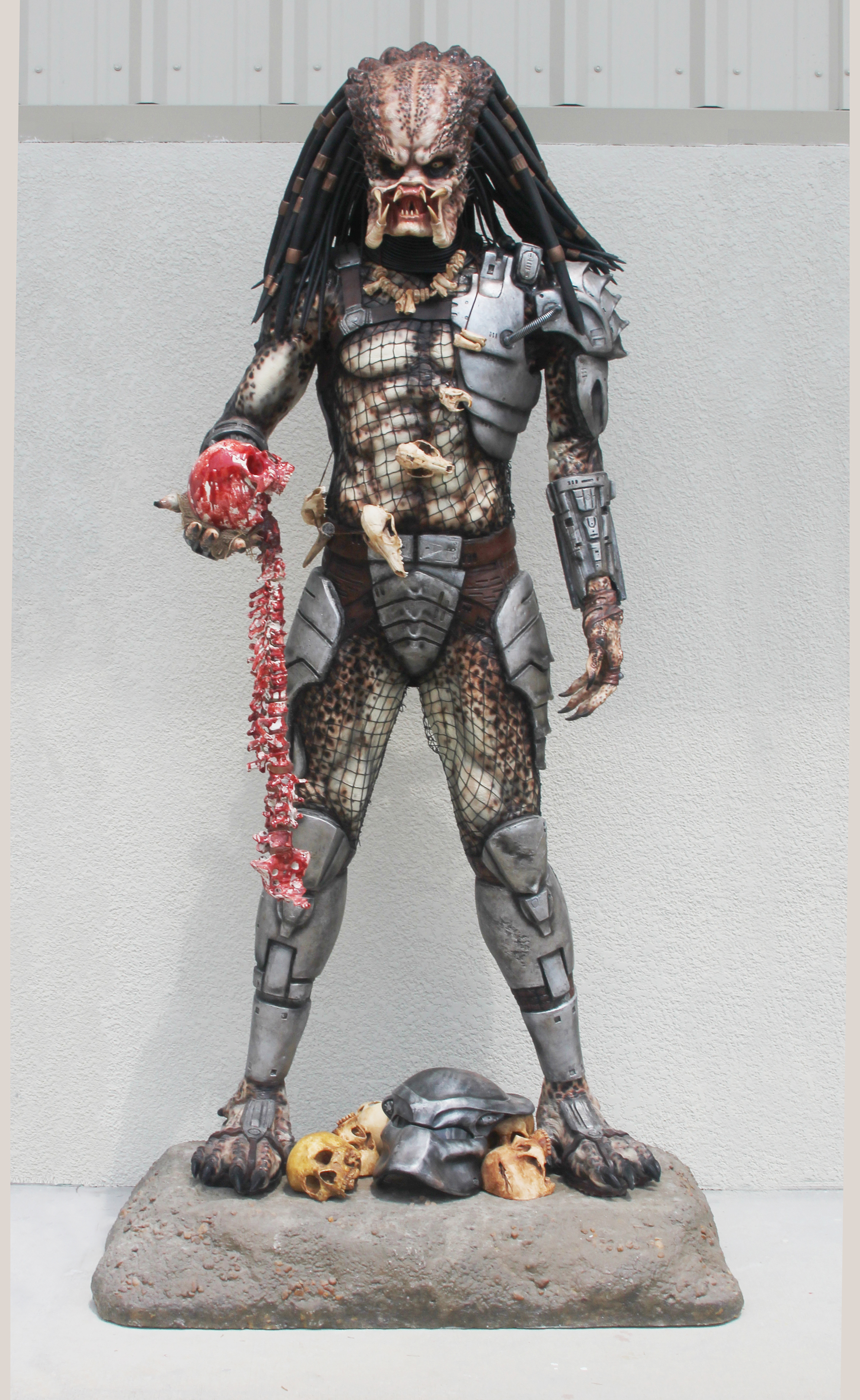 Predator_display.jpg
