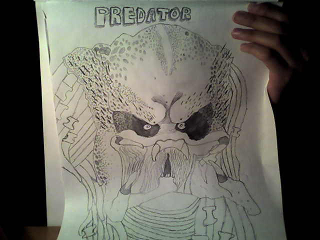Predator_drawing.jpg