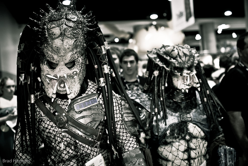 predator_hunt_2291.jpg