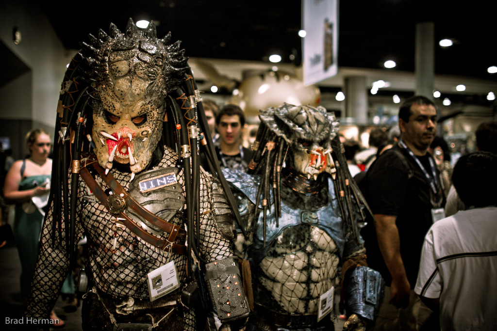 predator_hunt_2291_2.jpg
