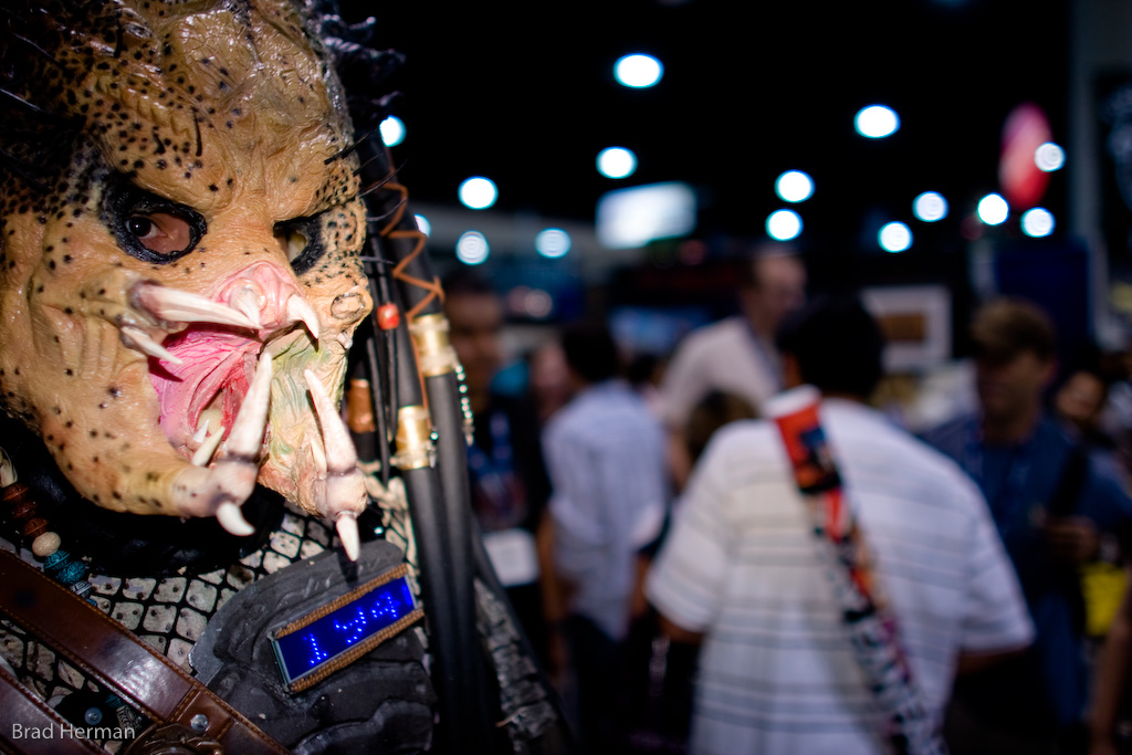 predator_hunt_2292.jpg