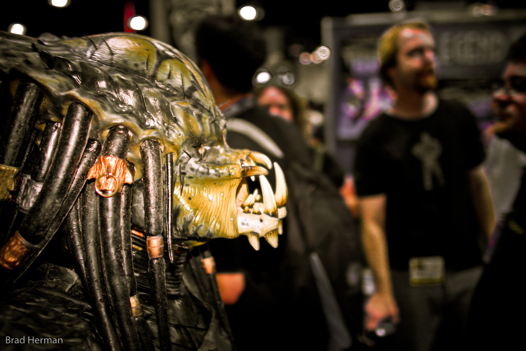 predator_hunt_2293.jpg