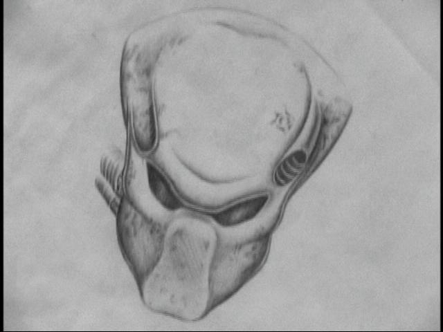 predator_se_disc2-15.jpg