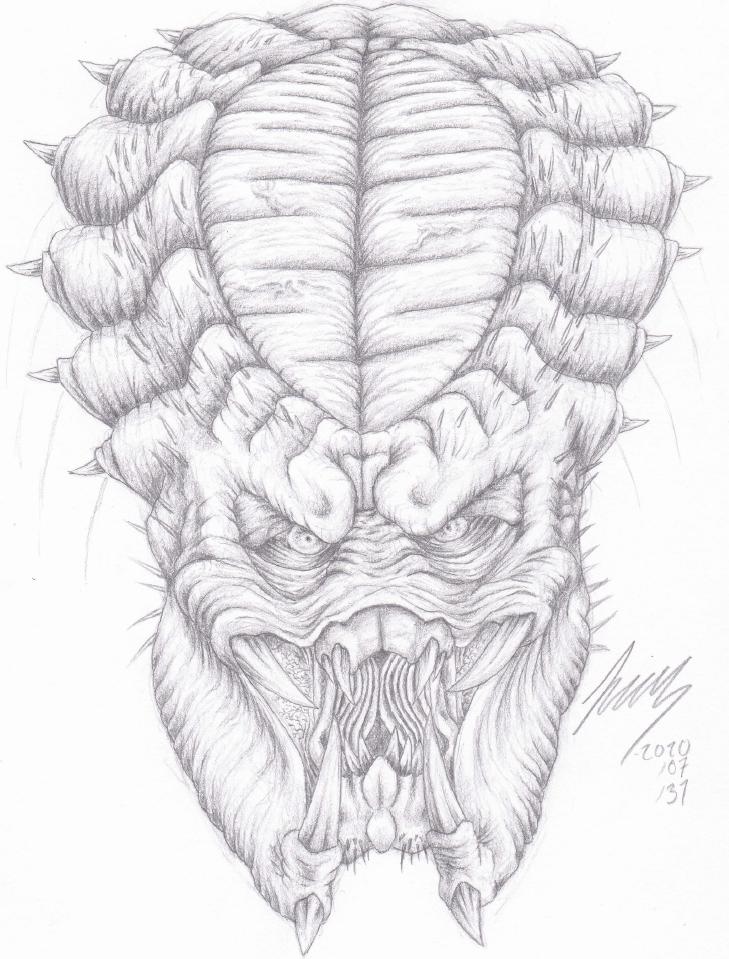 Predator_skiss.JPG