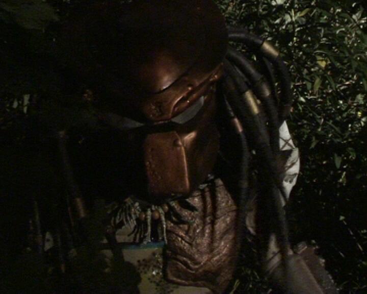 Predator_Vengeance_4.jpg