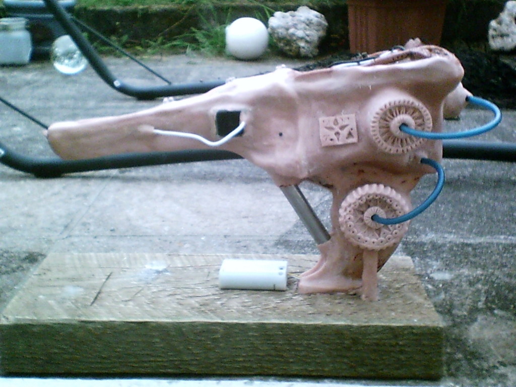 predatorcannoncontest014.jpg