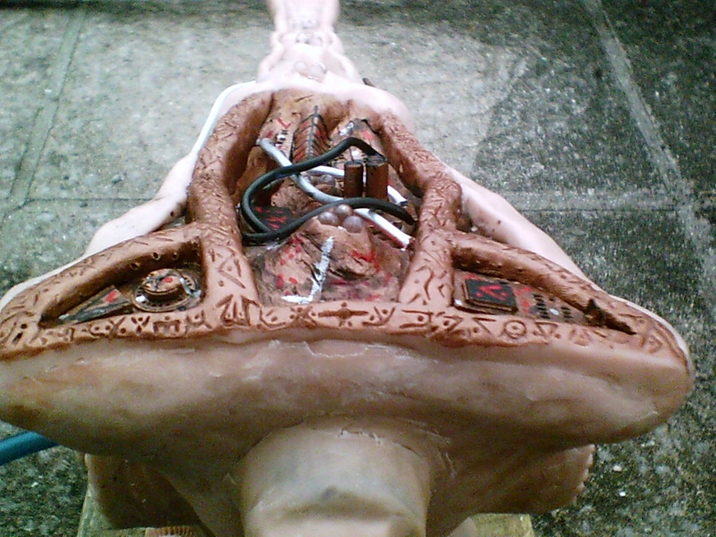 predatorcannoncontest017.jpg