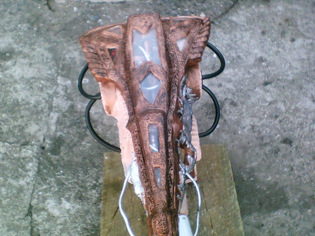 predatorcannoncontest024.jpg