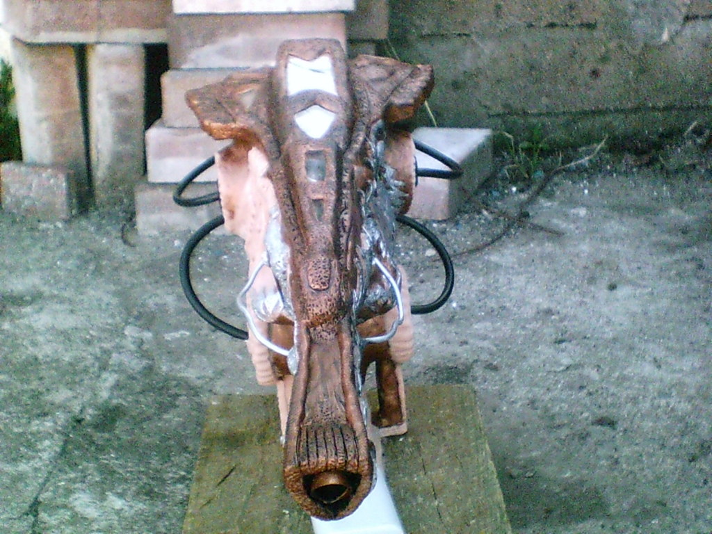 predatorcannoncontest025.jpg